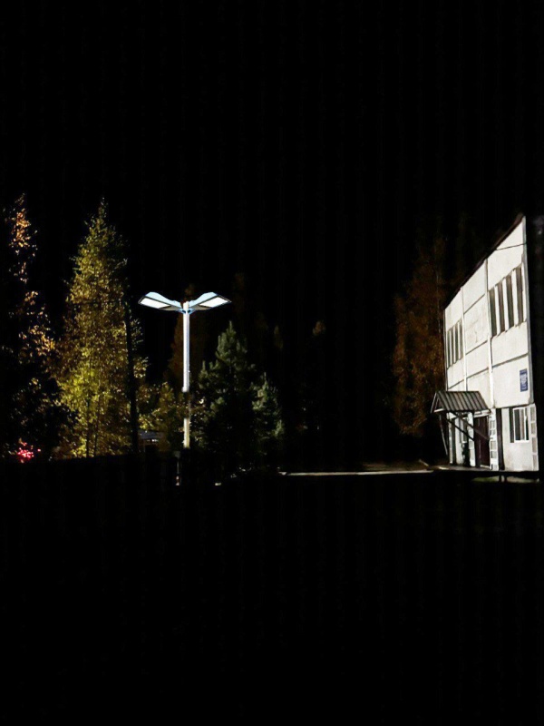 Устройство уличного освещения в п. Тунгала Зейского муниципального округа