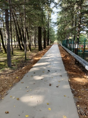 Продолжение работ по обустройству тротуара по ул. Советской с. Новокиевка Мазановского муниципального округа Амурской области Продолжение работ по обустройству тротуара по ул. Советской с. Новокиевка Мазановского муниципального округа Амурской области